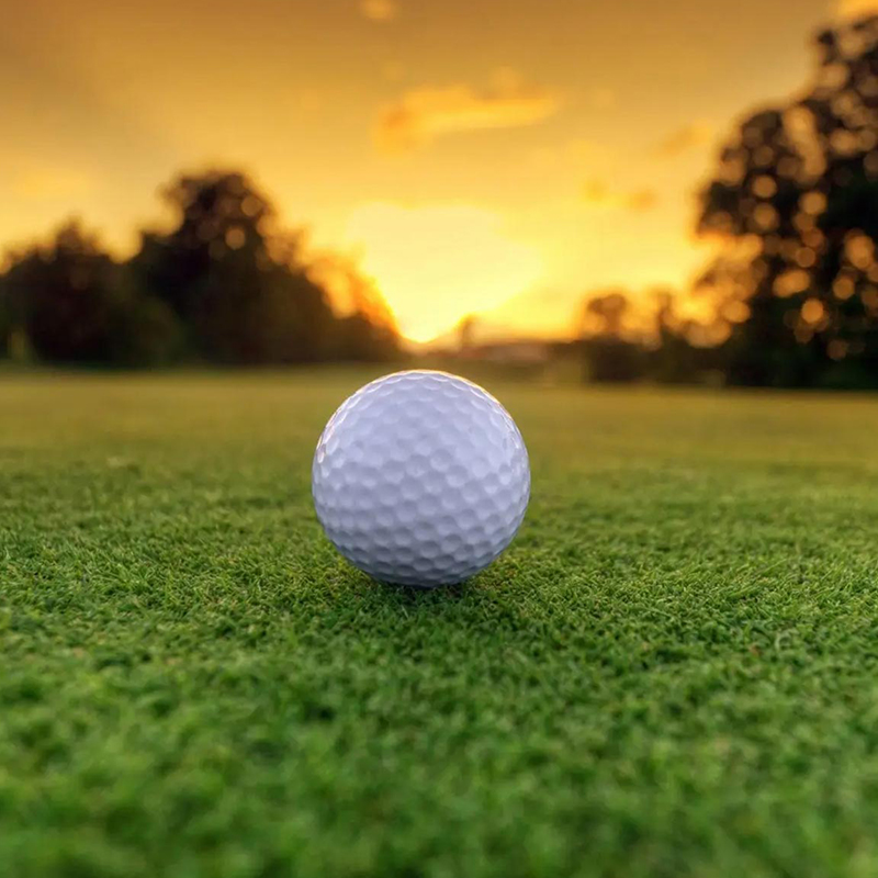 Artificial turf case